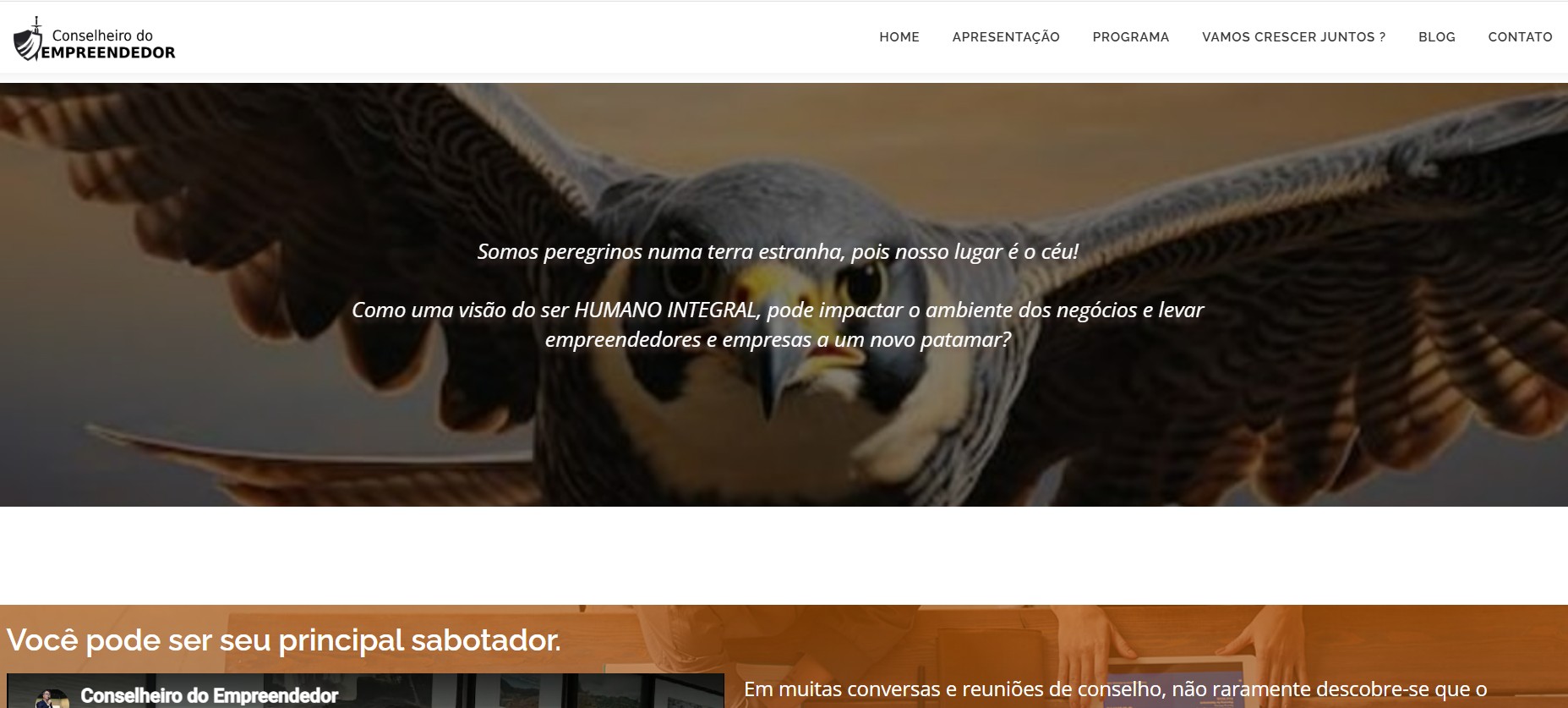 Conselheiro do Empreendedor